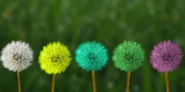 Unlocking Inner Peace: The Healing Power of Body Scan Meditation