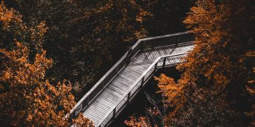 Finding Inner Peace: Embark on a Transformative Journey with Mindfulness Retreats